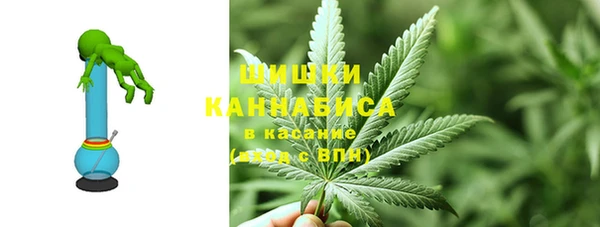 МДПВ Краснослободск