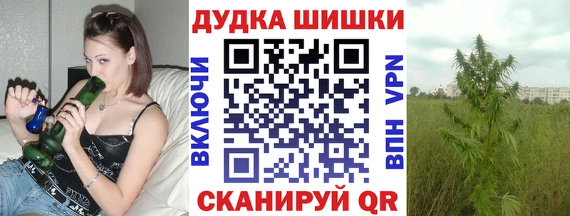 Бошки Шишки конопля  сколько стоит  Красный Кут 